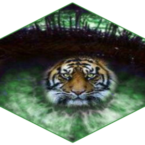 CHE COS'E' IL TRAUMA?