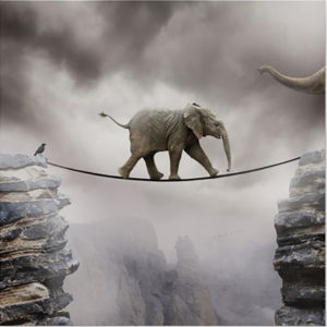 RISORSE PERSONALI: COSA SONO E COME POSSONO ESSERE SVILUPPATE