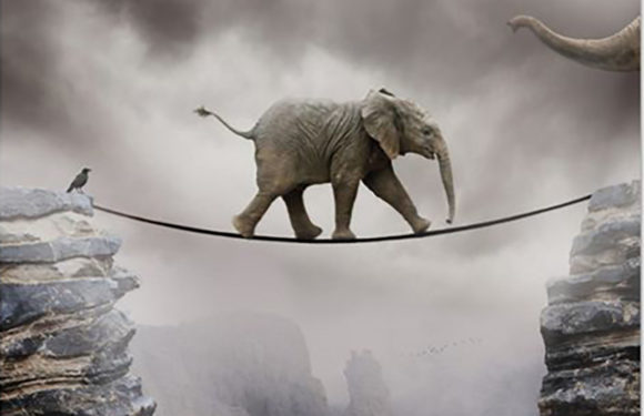 RISORSE PERSONALI: COSA SONO E COME POSSONO ESSERE SVILUPPATE RISORSE PERSONALI: COSA SONO E COME POSSONO ESSERE SVILUPPATE