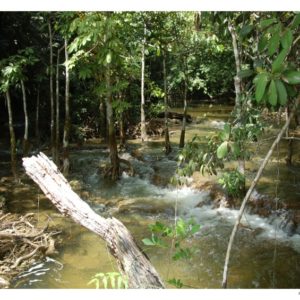 ASCOLTANDO IL SILENZIO