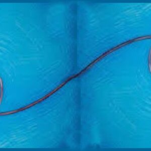 I MOLTEPLICI ASPETTI       DELL’ AMORE